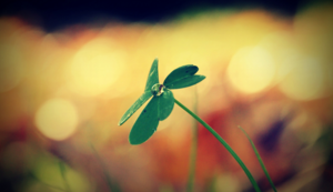 强强对抗：实力碰撞，胜负垂危，全场亢奋